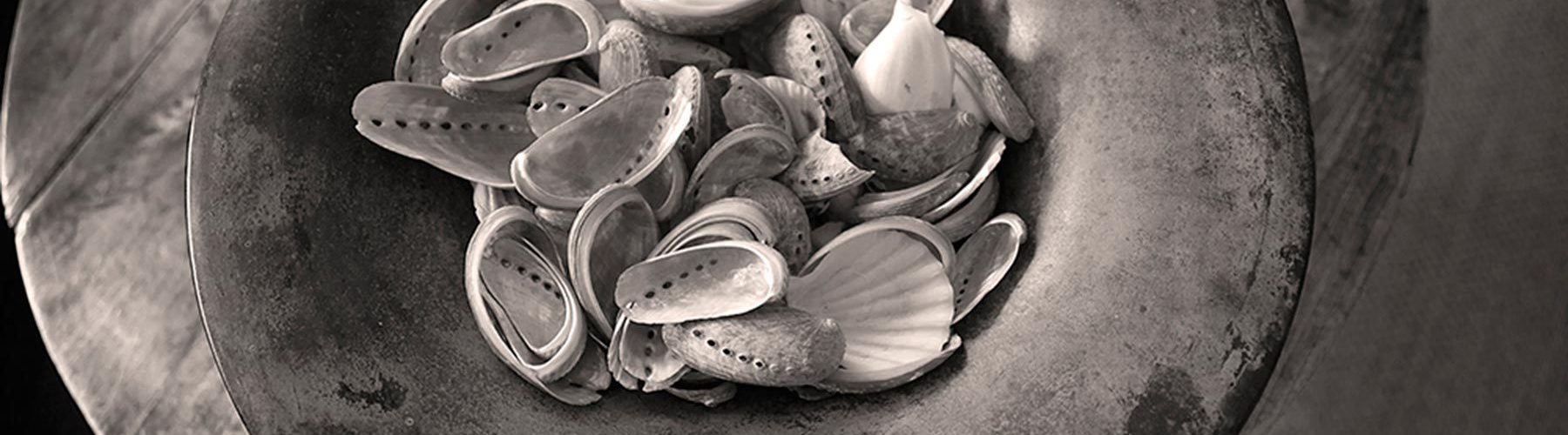 Jan tratnik photography still life shells