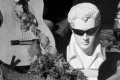 Elvisbw