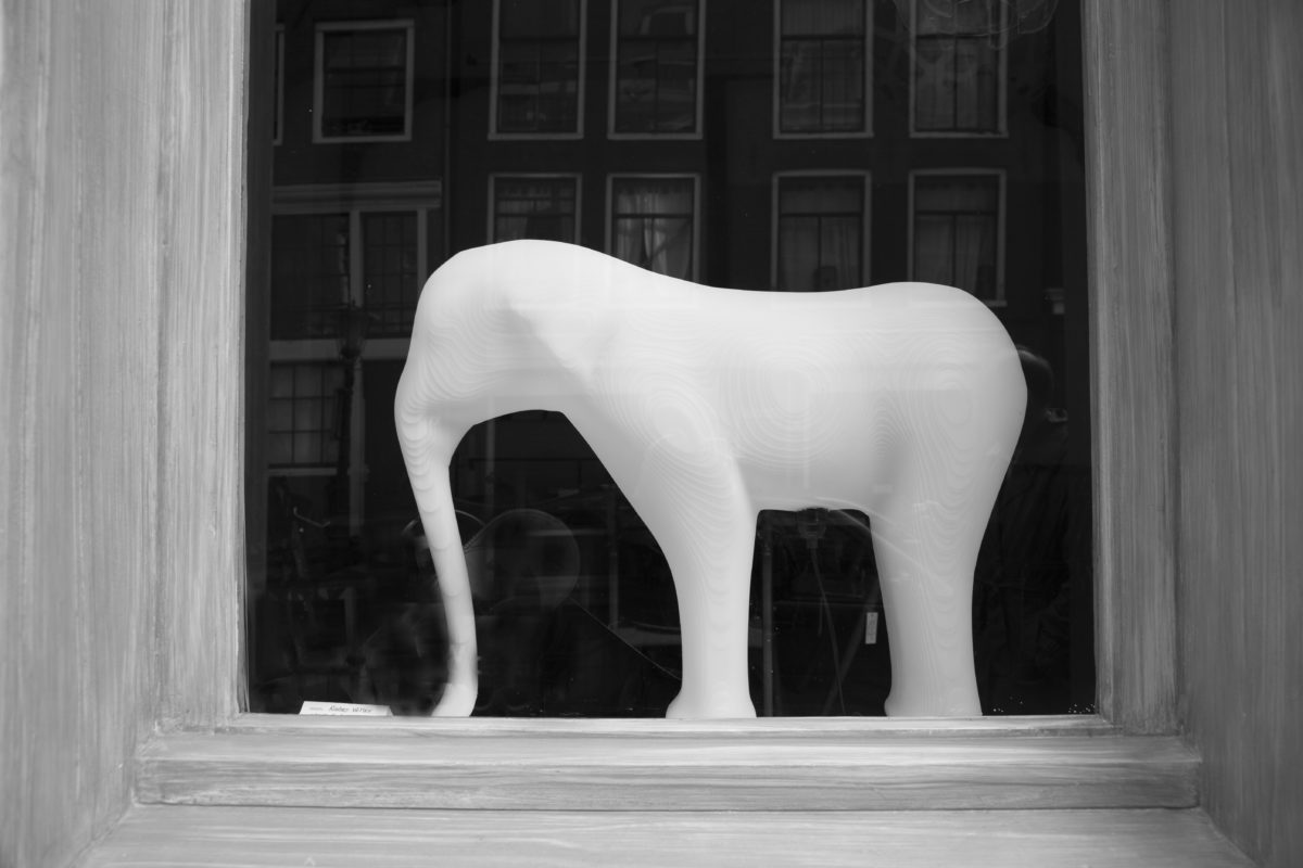 Amsterdamwindowelephantbw