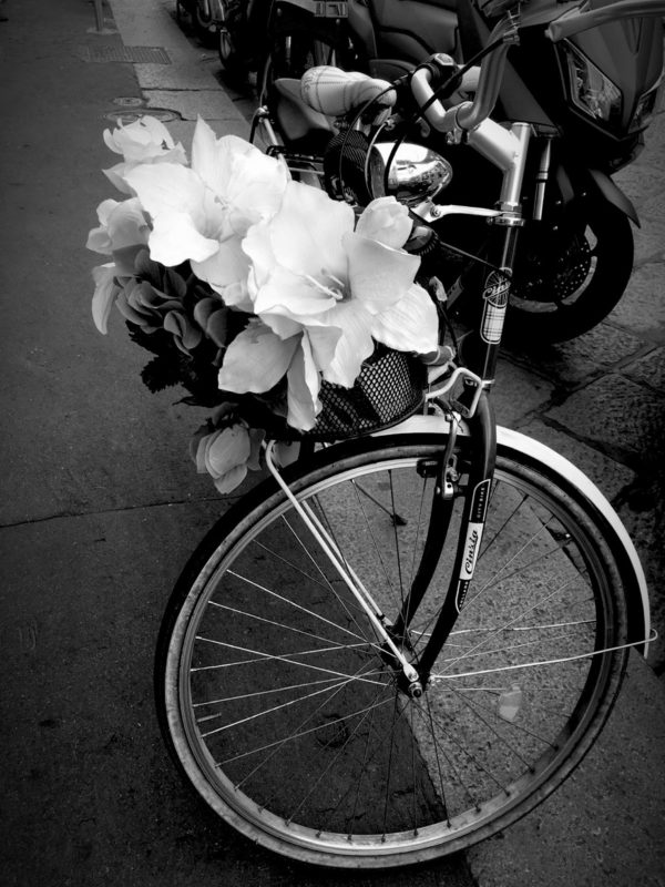 Bikeand Flowers
