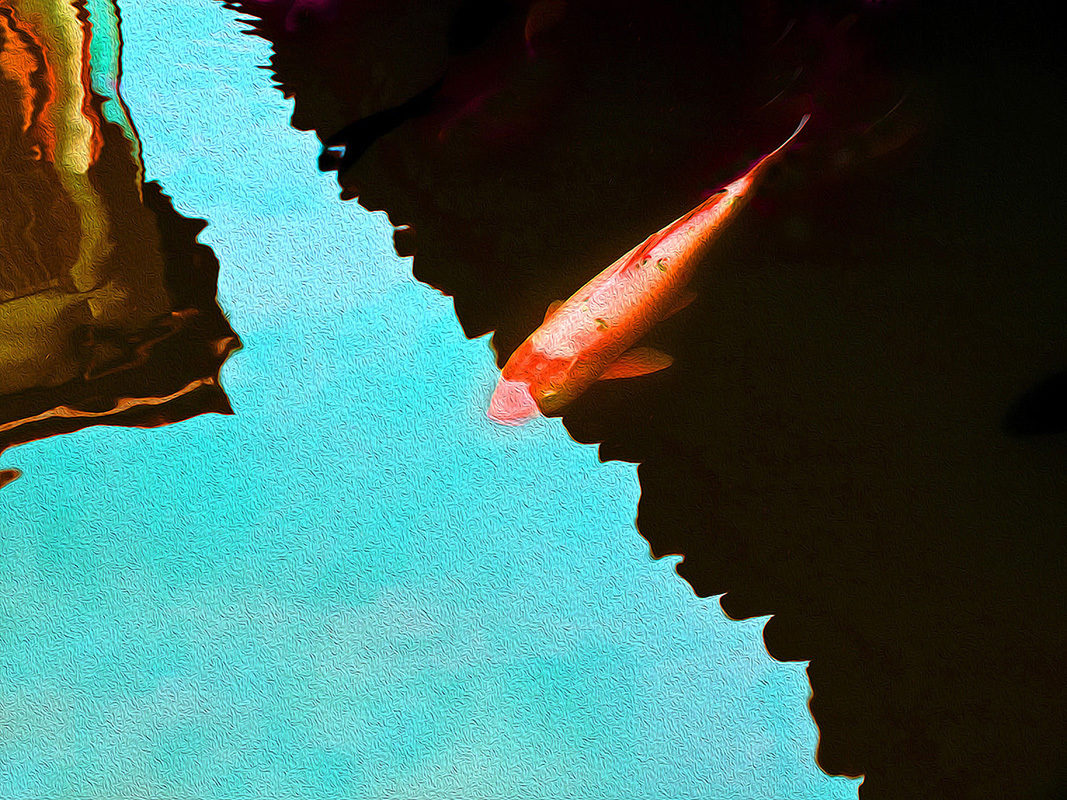 Jan Tratnik Color Koi Crossing