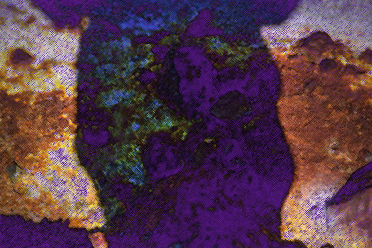 Jan Tratnikphotographynzdigitalart