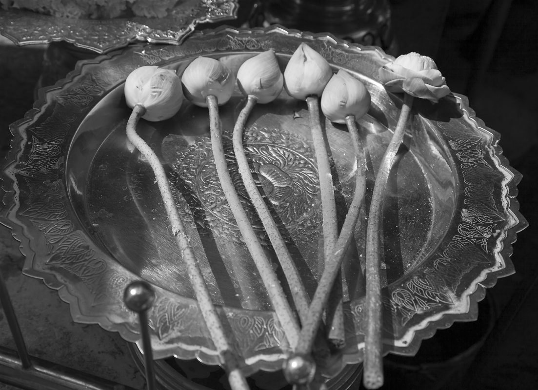 Thailand Flowerson Traybw