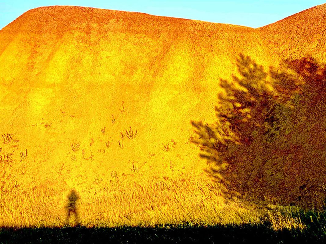 Jan tratnik photography color gold mound